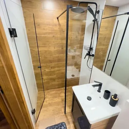 Apartament Leszczynska 29 Bielsko-Biala Exterior foto