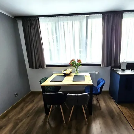 Apartament Leszczynska 29 Bielsko-Biala Exterior foto