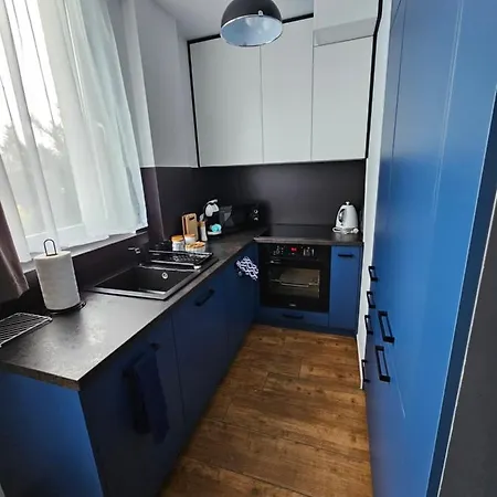 Apartament Leszczynska 29 Bielsko-Biala Exterior foto